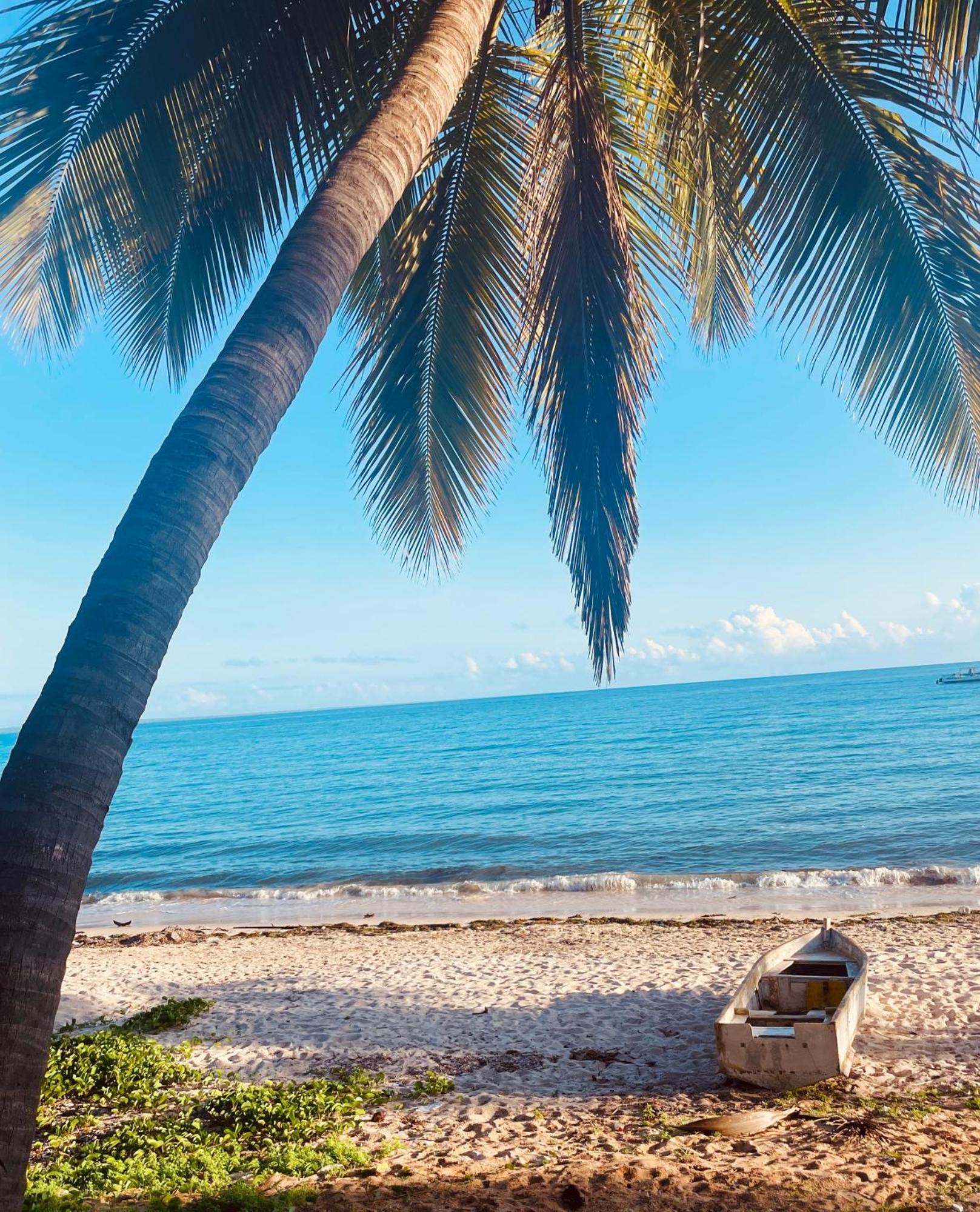 The Nautilus Pemba Hotel Luaran gambar