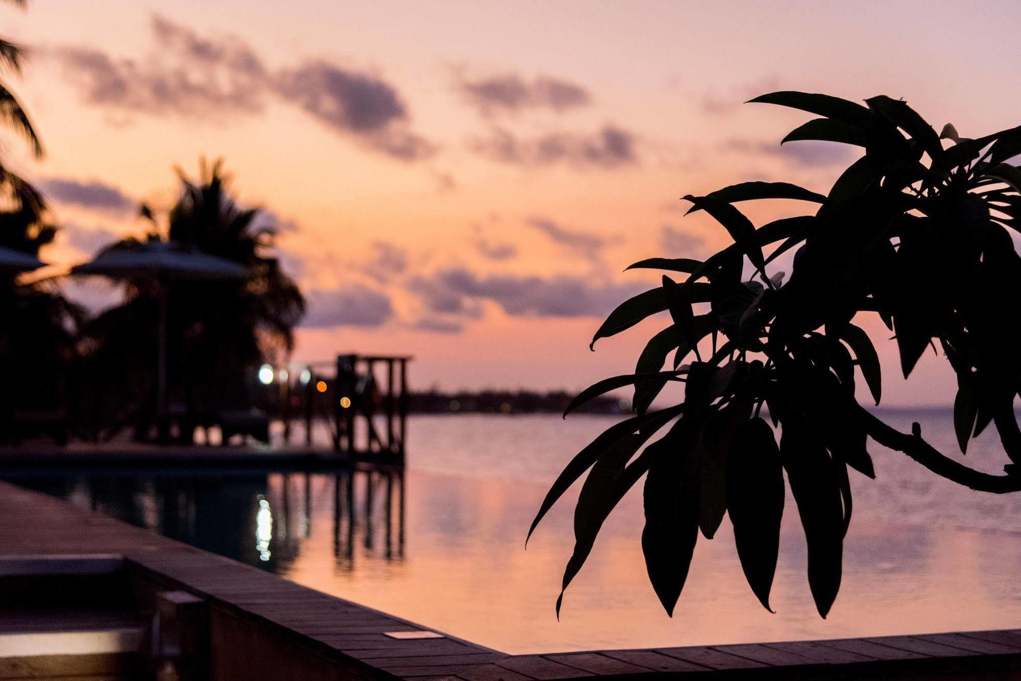 The Nautilus Pemba Hotel Luaran gambar